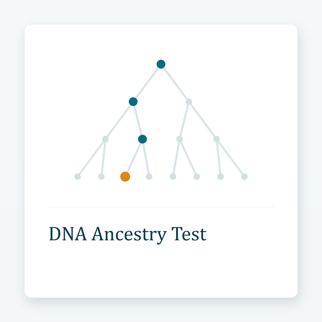 DNA Ancestry Test