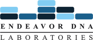 Endeavor